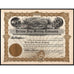 Yellow Pup Mining Company Stock Certificate