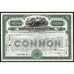Orpheum Circuit Inc. Stock Certificate
