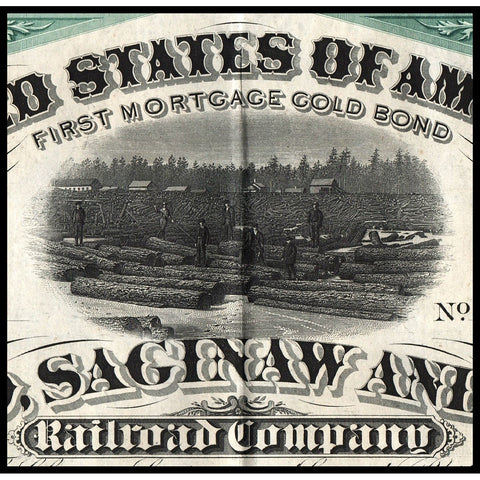 Th Chicago, Saginaw and Canada Railroad Company