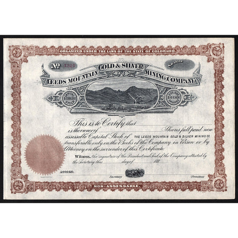 Leeds Mountain Gold & Silver Mining Company Stock Certificate