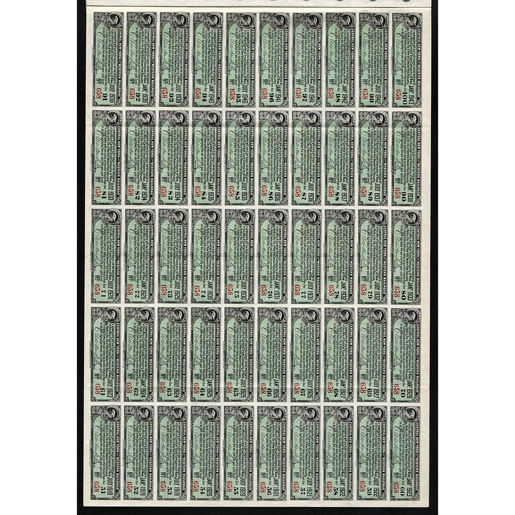 The Central New York and Western Railroad Company