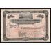 The Pioneer Steamship Company Ohio Stock Certificate