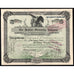 The Jenkins Steamship Company Mentor Ohio Stock Certificate
