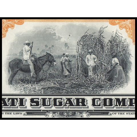 Manati Sugar Company Sugar Cane Stock Certificate