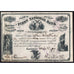 First National Bank of Cooperstown 1900 New York Stock Certificate