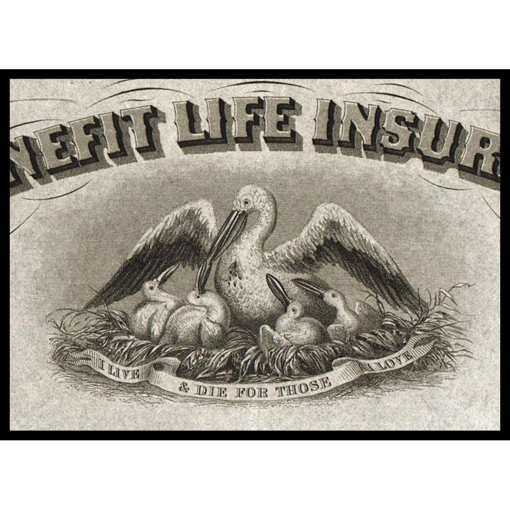 The Mutual Benefit Life Insurance Company 1867