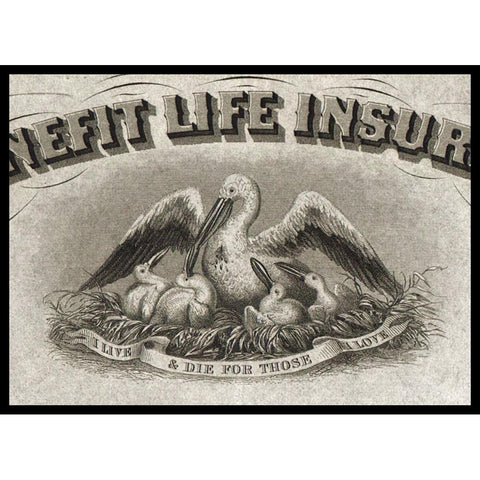 The Mutual Benefit Life Insurance Company 1867