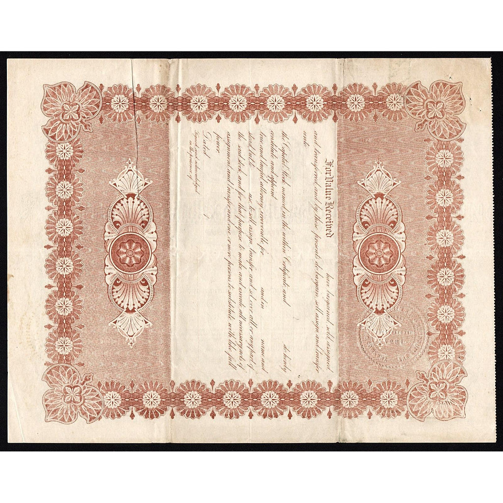 The Smuggler Gold Mining & Milling Company