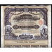 Societe Miniere Joltaia-Rieka (Krivoi-Rog) Ukraine Stock Certificate