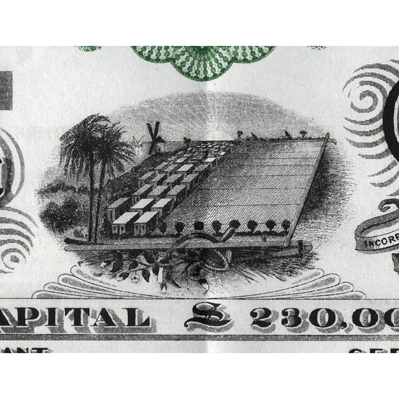 North Egypt Land Company 1905 Share Warrant Stock Certificate