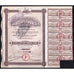 Compagnie des Chargeurs Francais Plisson & Cie. 1924 France Stock Certificate