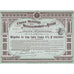 Union Miniere et Metallurgique de Russie 1913 France/Russia Stock Certificate