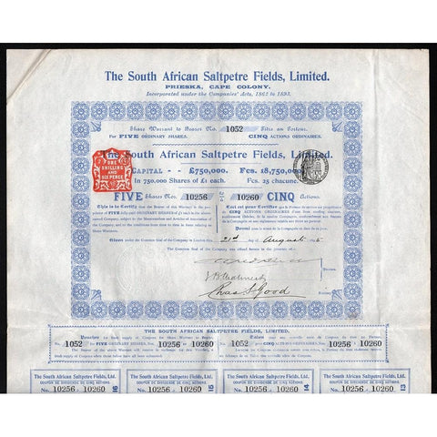 The South African Saltpetre Fields, Limited (Prieska, Cape Colony) Stock Certificate
