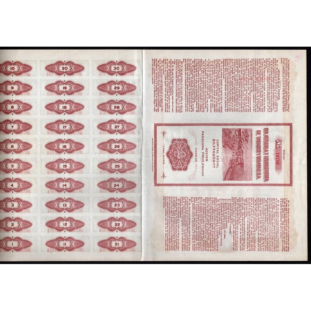 Cia. Agricola y Colonizadora de Tabasco y Chiapas 1912 Mexico Stock Certificate