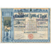 Commercial Bank of Egypt Share Warrant 1920 Stock Certificate