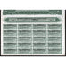 The Trans-Zambesia Railway Company Limited 1920 Stock Certificate Rhodesia