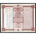 Yellowstone Gold & Silver Mines Wyoming Stock Certificate