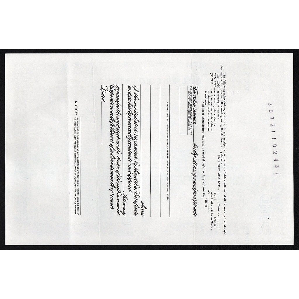 Bull Run Gold Mines Ltd. Washington Stock Certificate