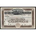 Syracuse Rapid Transit Railway Company New York Stock Certificate