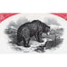 Pacific Far East Line, Inc. Specimen Stock Certificate