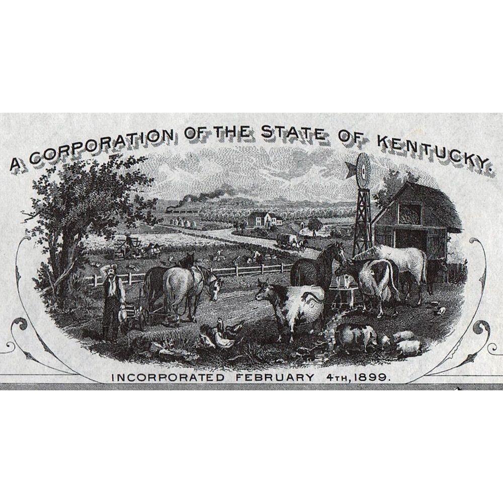 Pennsylvania Land Company (Kentucky) Stock Certificate