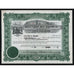 Mexican National Metal Extraction Co. 1921 Mexico Stock Certificate