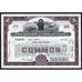The Sperry Corporation Stock Certificate