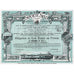 Societe Sully Societe Anonyme France 1911 Stock Certificate