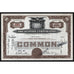 The Aviation Corporation Stock Certificate