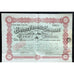 Brazil Trading Company Societe Anonyme Belge 1916 Belgium Stock Certificate