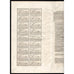The New Rip Gold Mining Company Limited South Africa Stock Certificate