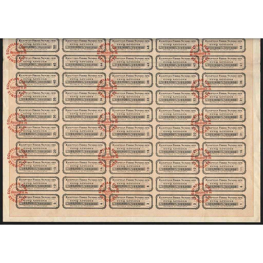 Egyptian Fibre Syndicate Societe Anonyme