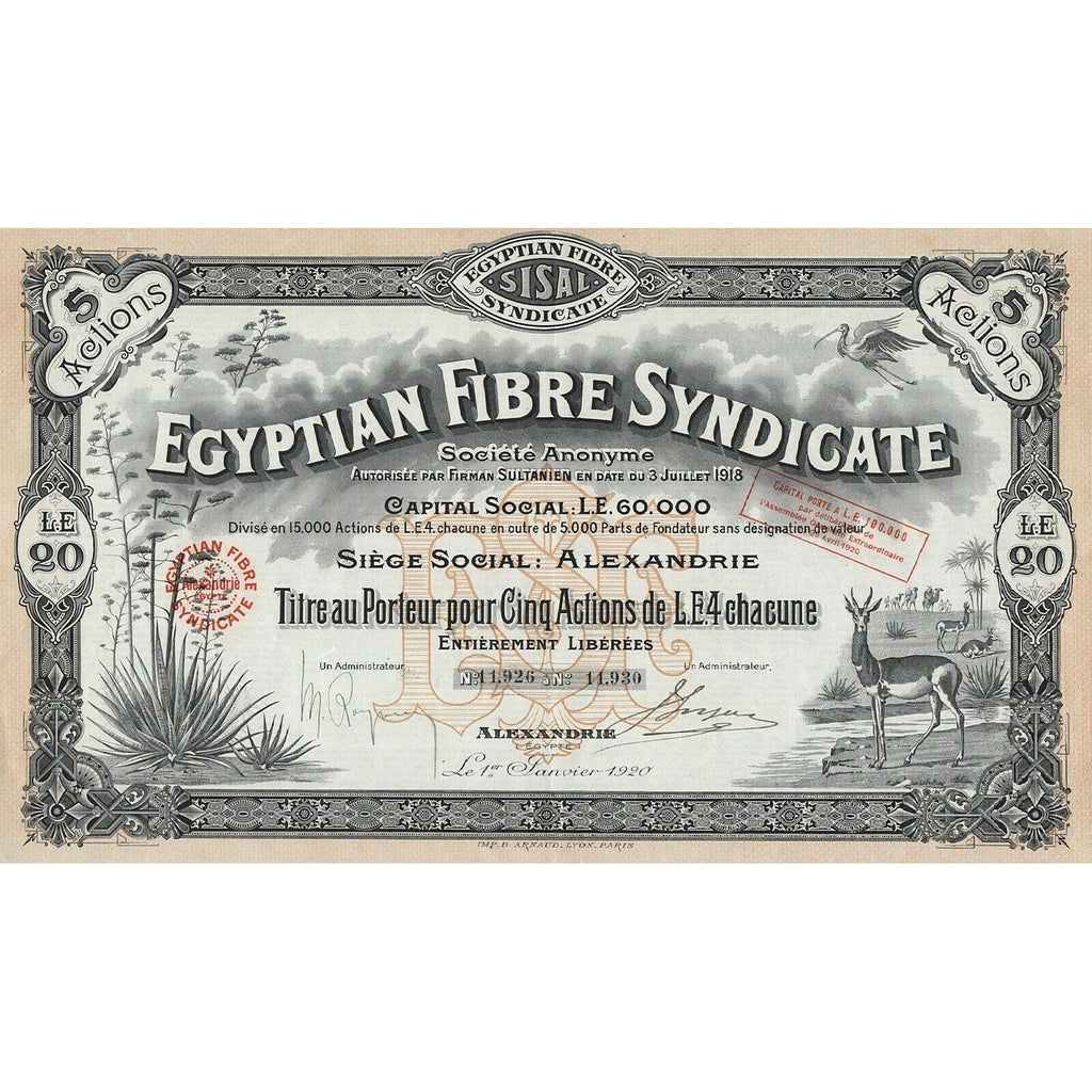 Egyptian Fibre Syndicate Societe Anonyme 1920 Egypt Stock Certificate