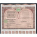 Empire Cherifien Protectorat de la Republique Francaise au Maroc Stock Bond Certificate