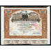 Celulosas La Albufera 1929 Palma de Mallorca Spain Stock Certificate