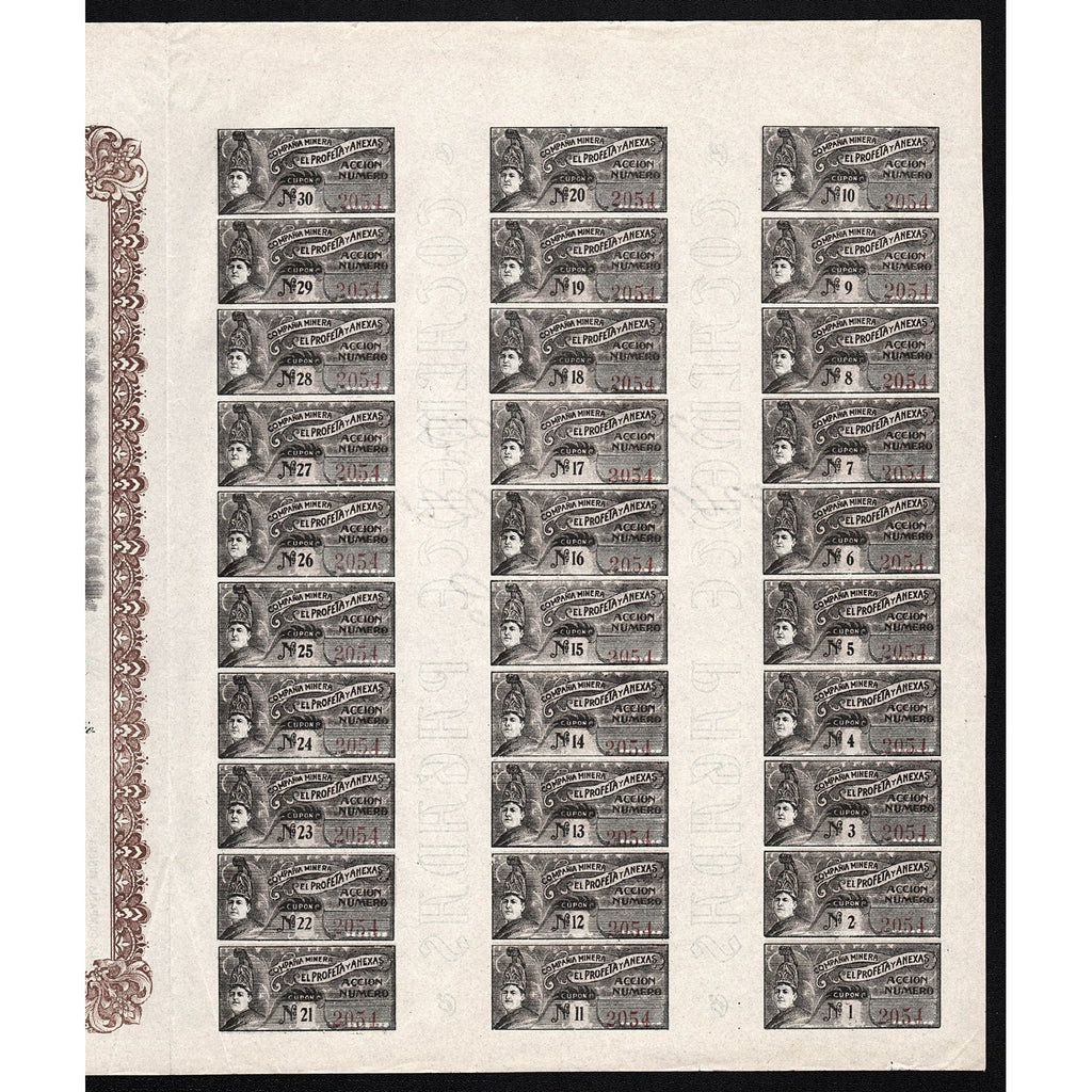 Compania Minera El Profeta y Anexas Sociedad Anonima