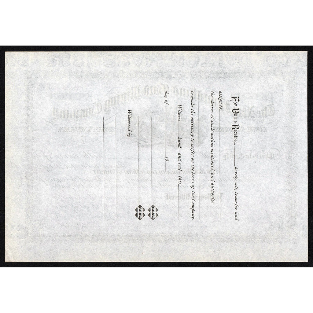 The New Foundland Gold Mining Company