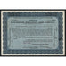 Winchester Repeating Arms Company 1929 Stock Certificate