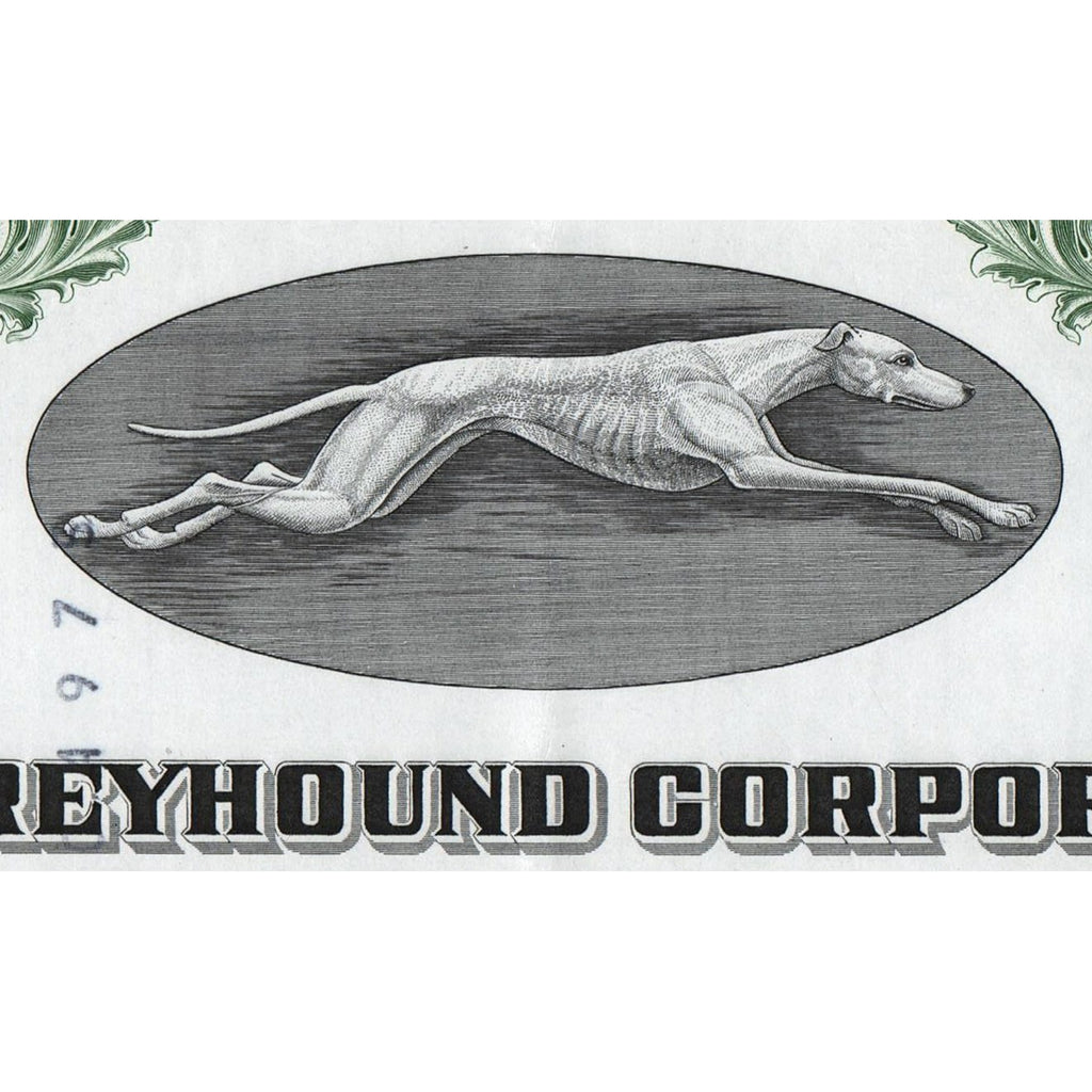 The Greyhound Corporation Arizona Dog Vignette