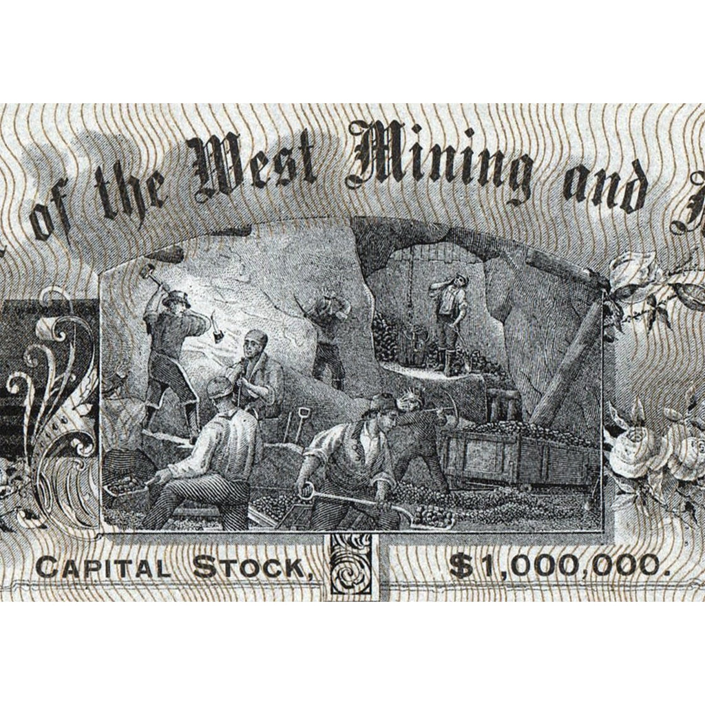The Star of the West Mining and Milling Company Colorado