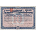 The New Ario Copper and Exploration Company 1898 South Africa Stock Certificate Warrant
