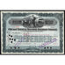 Chicago Terminal Tansfer Railroad Company 1902 Stock Certificate