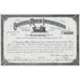 Companhia Maceio Improvements 1912 Brazil Rio de Janeiro Stock Certificate