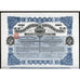 Randfontein Extensions Limited South Africa 1910 Stock Certificate