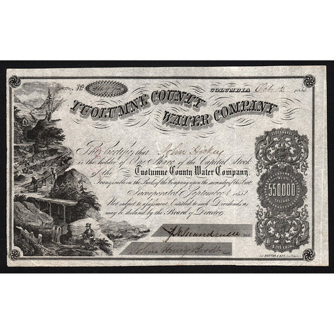 Tuolumne County Water Company 1855 California Stock Certificate