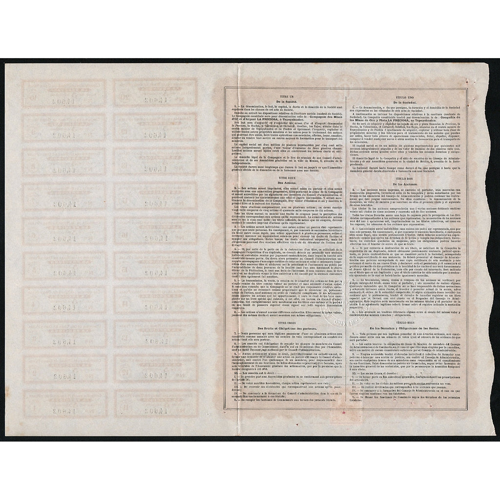 Compania de las Minas de Oro y Plata La Preciosa