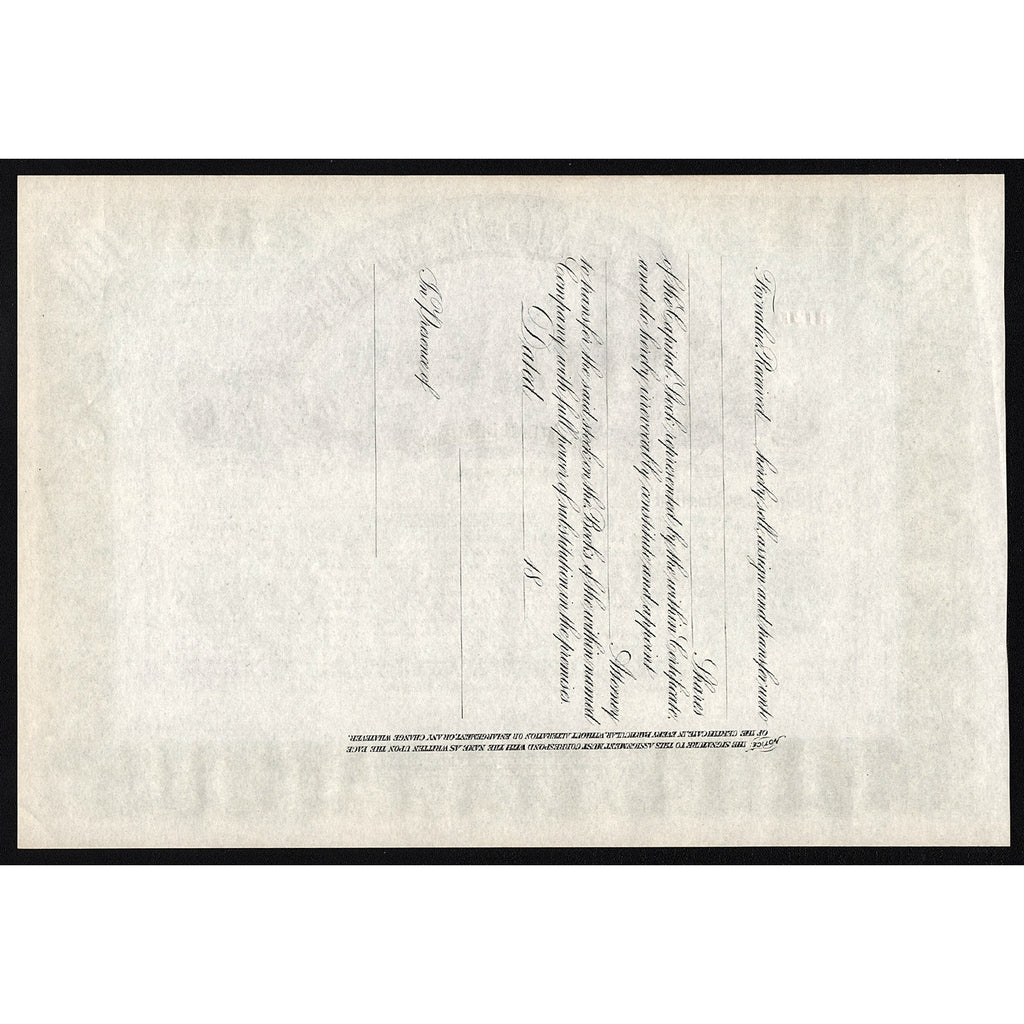 The Nassau Electric Railroad Company