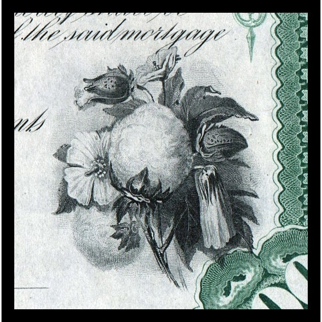 The Mobile & Alabama Grand Trunk Railroad Co.