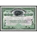 North Butte Mining Company Stock Certificate
