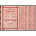 Anoto-Benzonaft, Nederlandsche Petroleum Maatschappy Stock Certificate